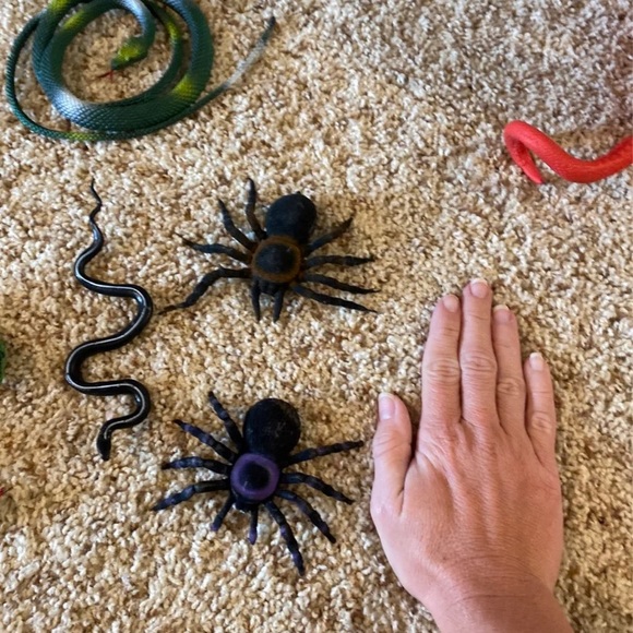 Toy snakes and spiders - Picture 2 of 4